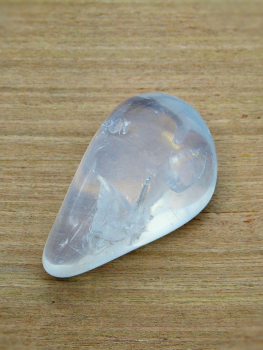 Preview: Girasol, 200g Pack